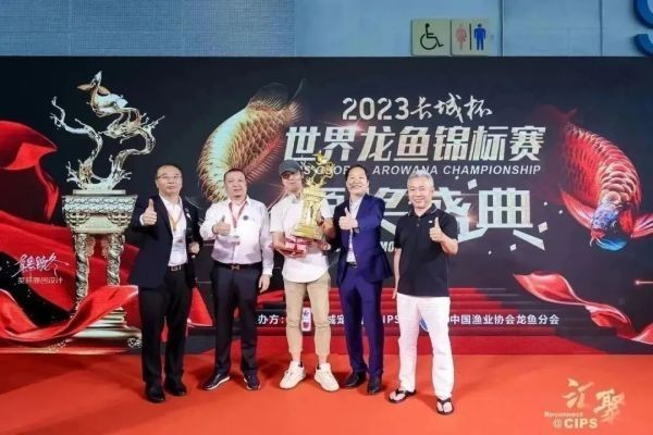 冠軍龍魚的主人大傅是誰？