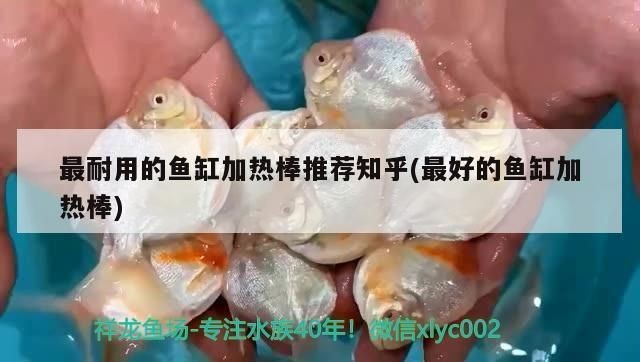 魚缸加熱棒排名（魚缸加熱棒品牌及其特點魚缸加熱棒功率選擇指南）
