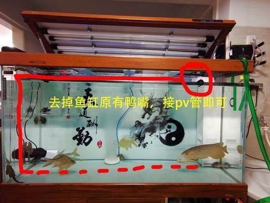底濾魚缸抽不走糞便怎么處理：底濾魚缸中糞便抽不走問題，底濾魚缸造浪泵選型指南