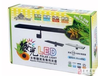 魚缸LED燈品牌推薦：探索魚缸led燈品牌推薦