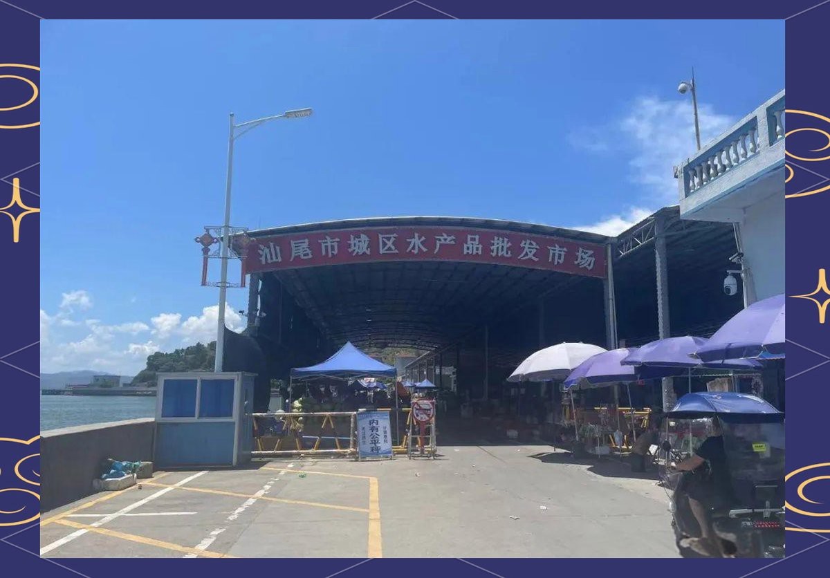 附近海鮮批發(fā)市場 附近海鮮批發(fā)市場 龍魚論壇 第1張