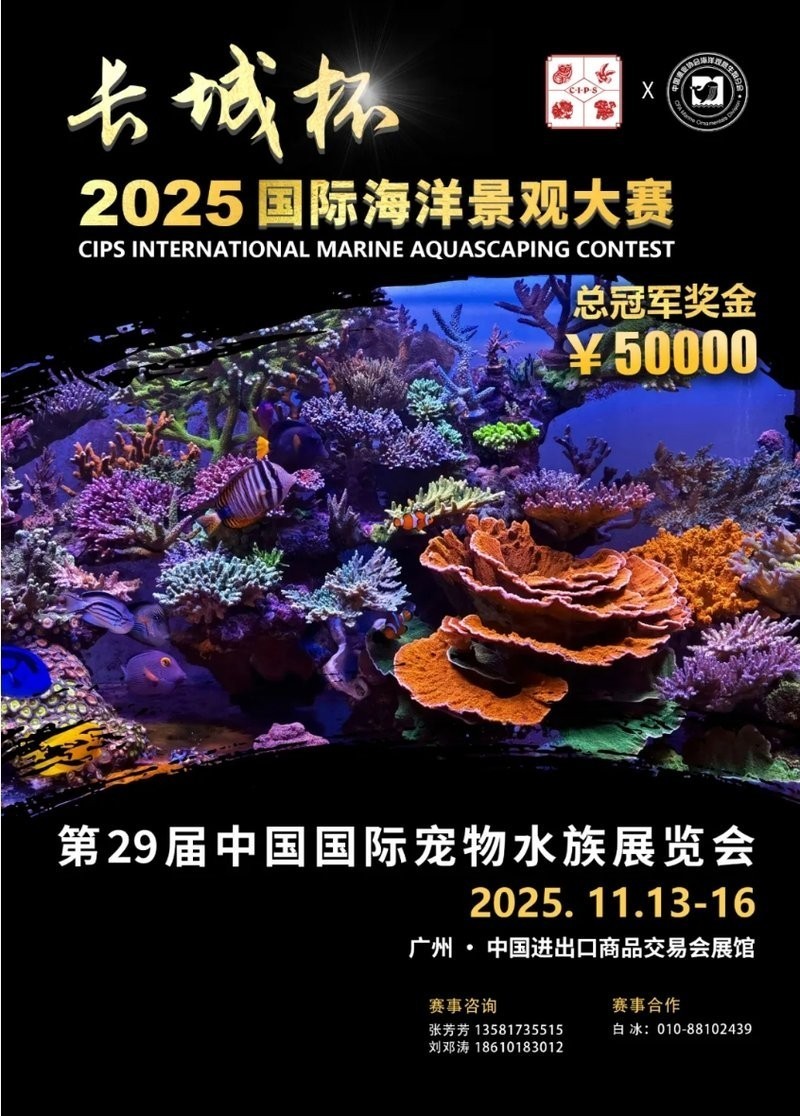 2025年長城杯龍魚時間