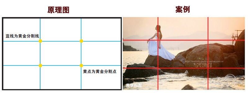 海缸和純魚缸的造景方式不僅能讓你的魚缸更生機勃勃：如何打造一個夢幻海缸