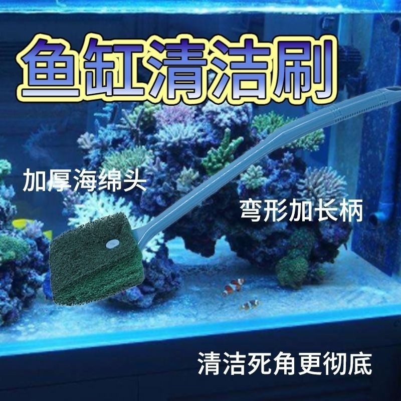 剛買回的魚缸怎么處理干凈（新買的魚缸水質不好怎么辦？）