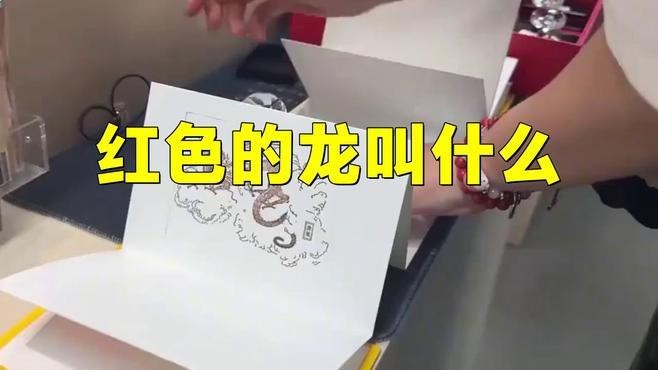 有哪些名字與紅龍相關？ 有哪些名字與紅龍相關？ 龍魚論壇 第1張