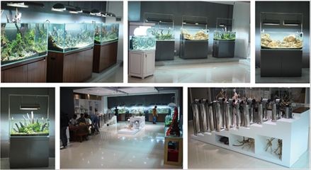 廣州魚缸文化探秘：廣州水族文化探秘 廣州魚缸文化探秘：廣州水族文化探秘 魚缸百科 第1張