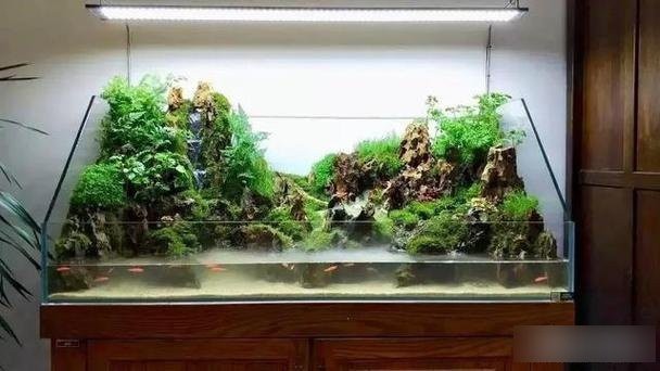 龍魚缸寬120cm最佳解決方法