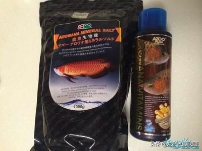 龍魚維生素多長時間放一次 龍魚百科 第2張 龍魚維生素多長時間放一次 龍魚維生素多長時間放一次 龍魚百科 第2張