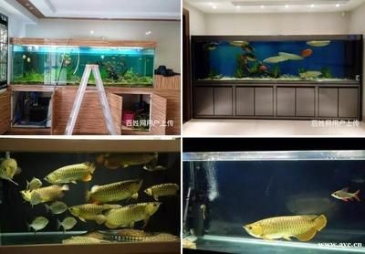 廣州魚缸水質(zhì)管理的重要性：廣州一水族工作室提供魚缸維修服務(wù)，魚缸維修服務(wù)服務(wù)