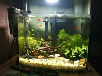 魚缸濾材推薦