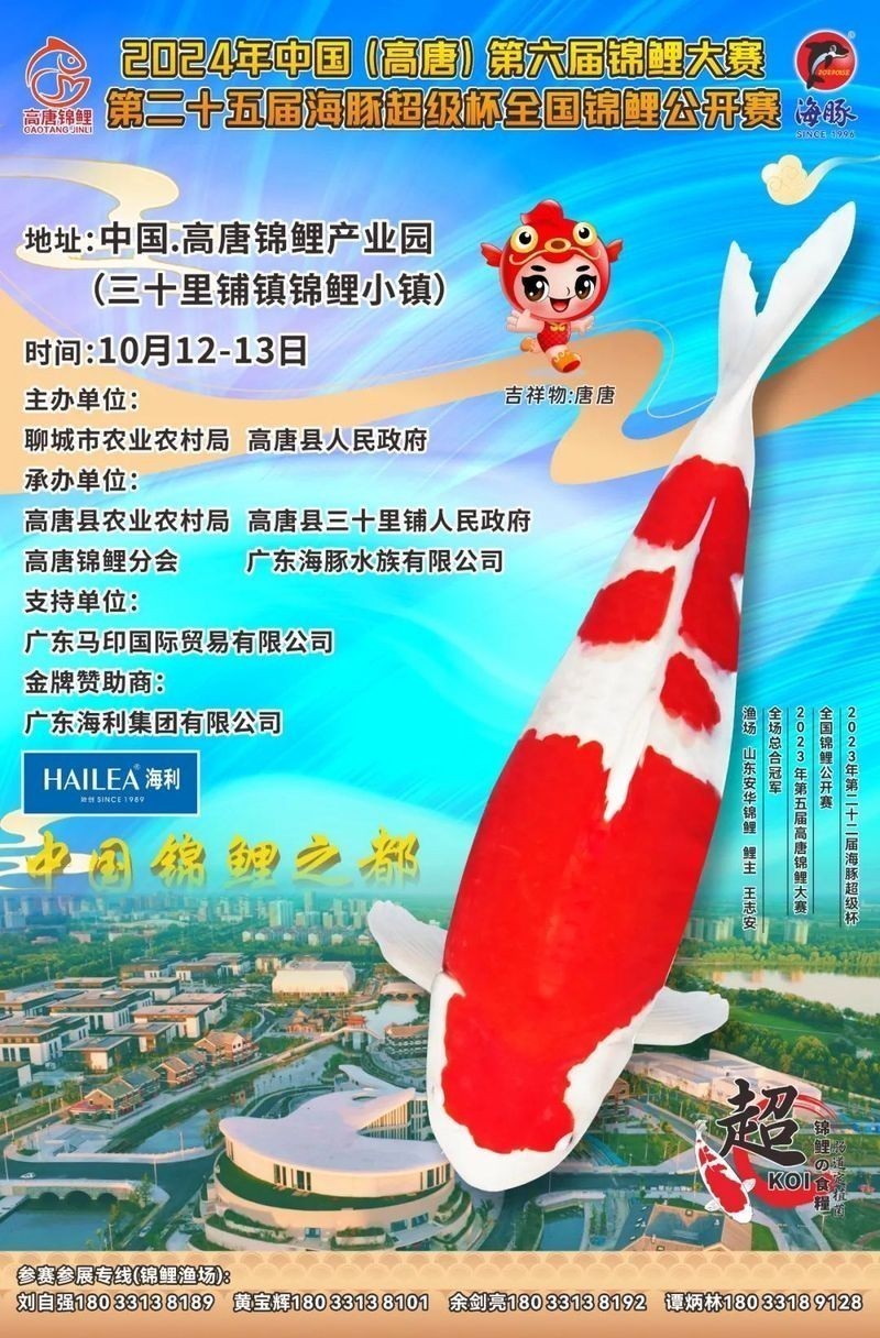 金魚養殖競技大賽有哪些參賽規則？ 金魚養殖競技大賽有哪些參賽規則？ 2025長城杯龍魚大賽 第1張