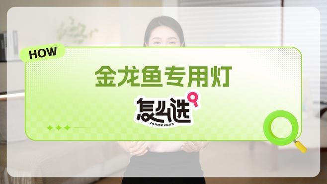 推薦幾款適合龍魚的LED燈