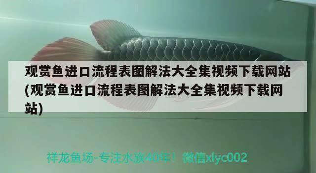 <strong><mark>佛山</mark></strong>市順德區龍江鎮劉志文觀賞魚店