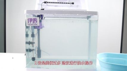 魚缸里出現(xiàn)白色絮狀物是由多種原因引起的，需要注意的是：如何處理魚缸中的白色絮狀物