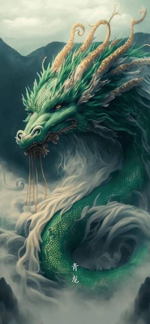 給我推薦一些真龍圖片