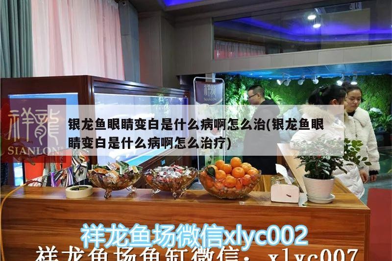 銀龍魚水溫多少合適，銀龍魚用什么水養合適，冬天銀龍魚水溫多少合適，銀龍魚水溫多少合適