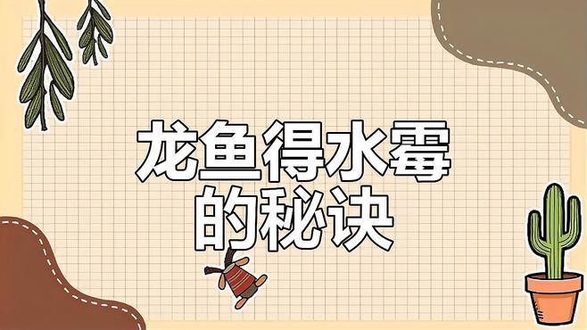 如何預防銀龍魚的水霉病？