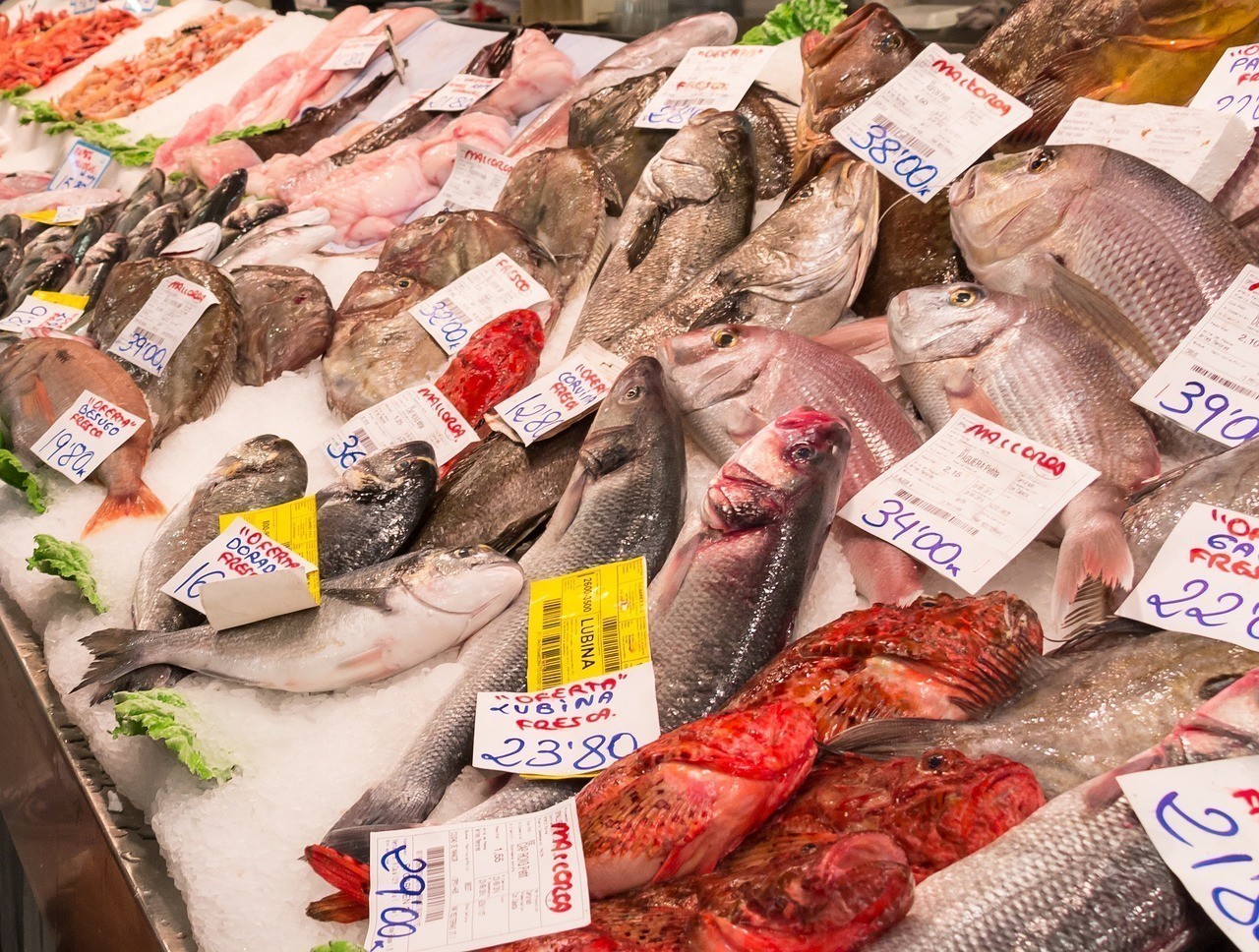晉城市城區云剛魚店（晉城市城區云剛魚店電話號碼） 晉城市城區云剛魚店（晉城市城區云剛魚店電話號碼） 全國水族館企業名錄 第1張