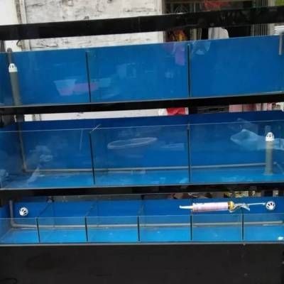 拆卸魚缸包邊教程：如何安全有效地拆卸大型魚缸