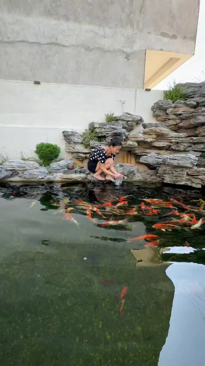 魚池清澈心情好 魚池清澈心情好 龍魚論壇