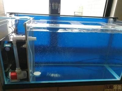 魚缸配套設(shè)備選購(gòu)指南：如何選擇魚缸配套設(shè)備