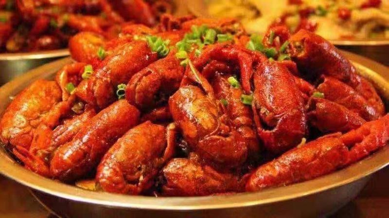 龍騰四海龍魚店地址