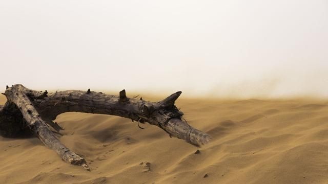 魚缸造景對密度影響：關于魚缸造景對密度的影響 魚缸造景對密度影響：關于魚缸造景對密度的影響 魚缸百科 第1張