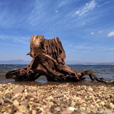 魚缸造景對密度影響：關于魚缸造景對密度的影響 魚缸造景對密度影響：關于魚缸造景對密度的影響 魚缸百科 第2張