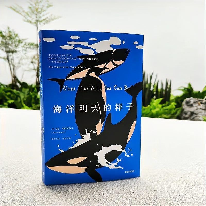 虎鯨為什么對人類友好
