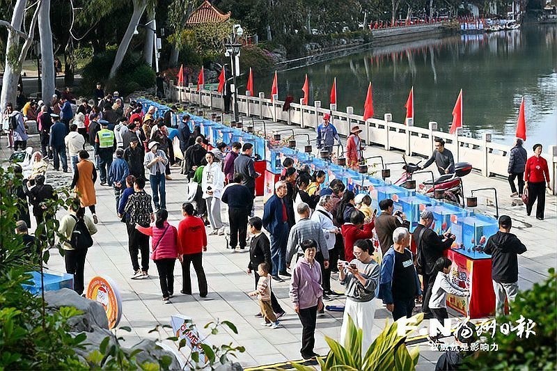 如何參加福州金魚新春展覽？