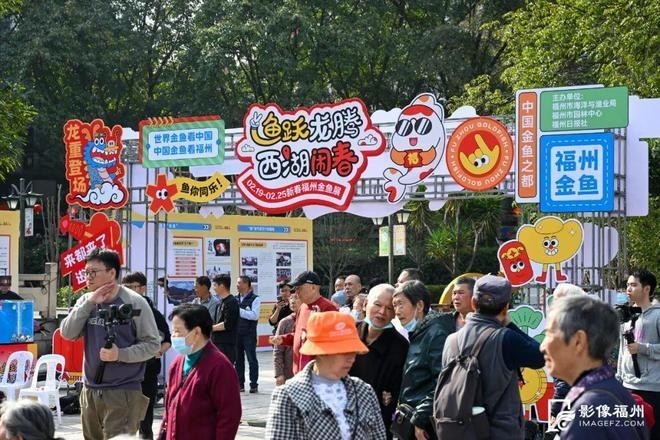 如何參加福州金魚新春展覽？