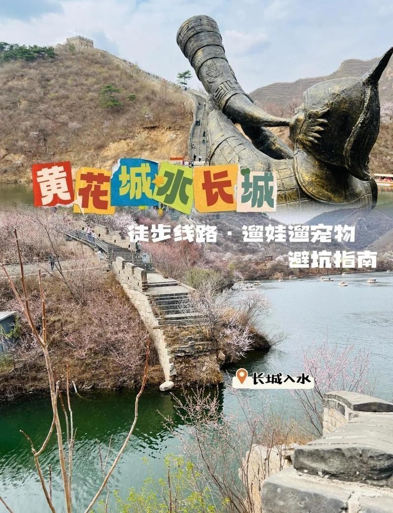如何給寵物安全地?cái)y帶到水長城？