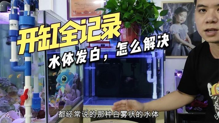詳細閱讀:銀龍價格:銀龍魚什么價格30 銀龍價格:銀龍魚什么價格30