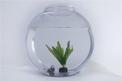 夢見自己的魚缸壞了：夢見自己的魚缸壞了可能反映了你內心深處對于當前生活環境或工作狀態的不滿 夢見自己的魚缸壞了：夢見自己的魚缸壞了可能反映了你內心深處對于當前生活環境或工作狀態的不滿 魚缸百科 第5張