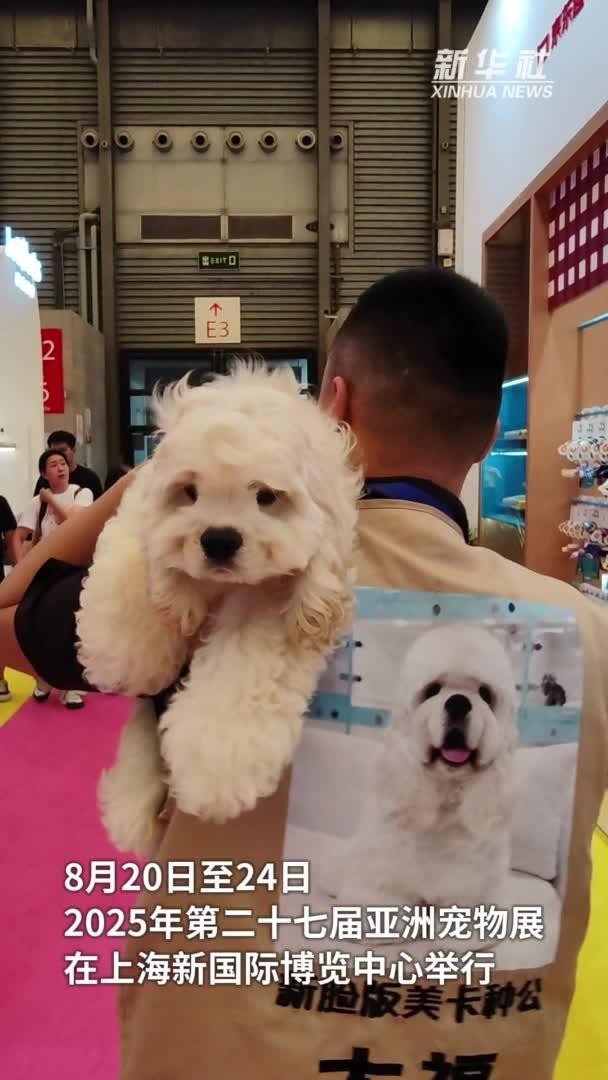 2025年寵物展時間表