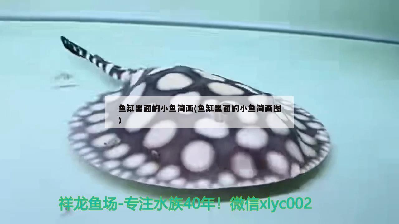 魚缸里面的小魚簡畫(魚缸里面的小魚簡畫圖)