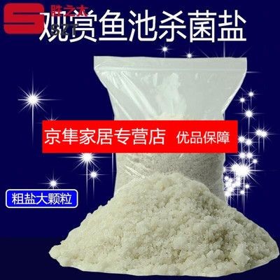 給魚缸消毒的方法和注意事項，魚缸消毒的方法和注意事項：關于給魚缸消毒的一些方法和注意事項 給魚缸消毒的方法和注意事項，魚缸消毒的方法和注意事項：關于給魚缸消毒的一些方法和注意事項 魚缸百科 第3張