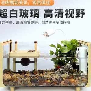 觀賞魚混養的心理學混養觀賞魚的心理學混養的心理學混養：混養觀賞魚的心理學