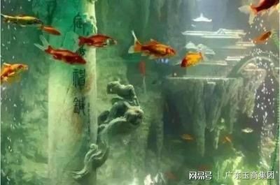 翡翠放在魚缸里好嗎（翡翠養護的正確方式）