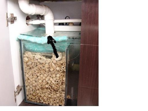 魚缸底濾魚缸下水管件圖解：底濾魚缸下水管件圖解 魚缸底濾魚缸下水管件圖解：底濾魚缸下水管件圖解 魚缸百科 第3張