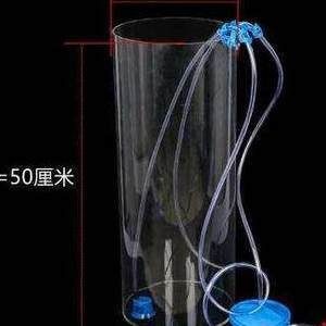 魚缸換水的正確步驟和注意事項：給魚缸換水的正確步驟