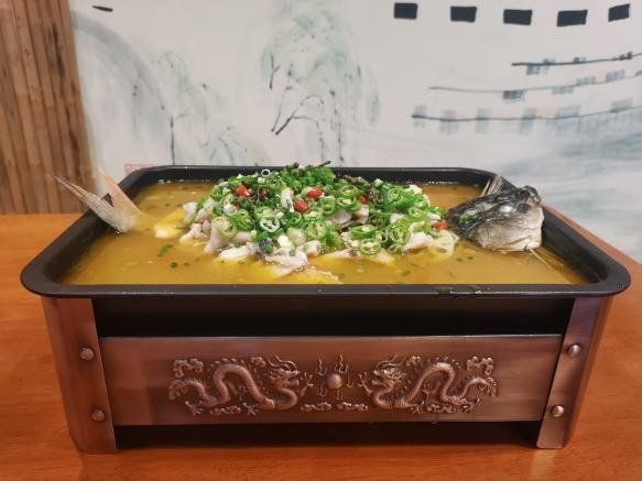 蝴蝶鯉是吉還是兇 蝴蝶鯉是吉還是兇 龍魚論壇 第3張