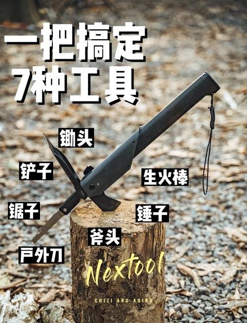 紅龍排行榜中有哪些品牌 紅龍排行榜中有哪些品牌 2025長城杯龍魚大賽 第3張
