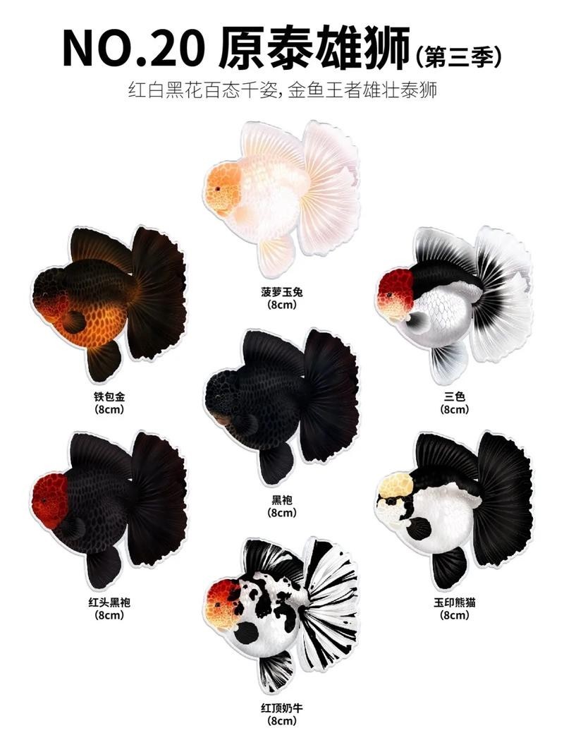 2025金魚大賽的獲獎名單
