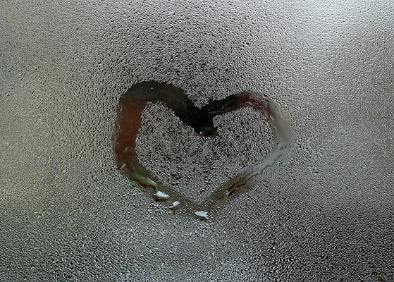 藝景水景<strong><mark>伊川</mark></strong>縣水族器材銷售店（<strong><mark>伊川</mark></strong>水族館）