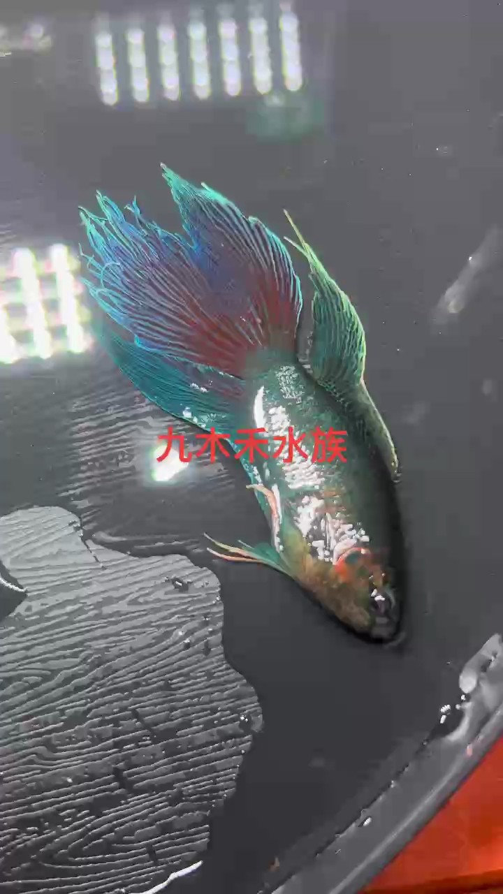 出，有需要聯(lián)系
