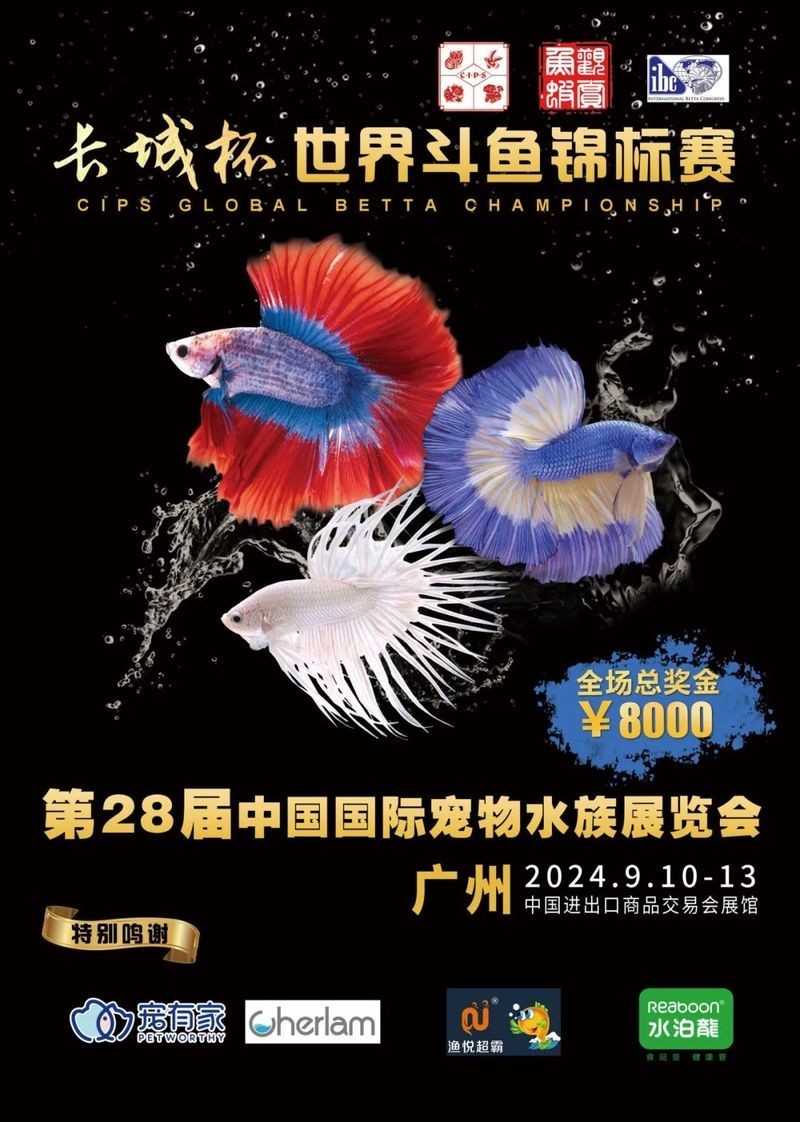 長城杯觀賞魚比賽何時開始？
