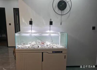 紅龍魚(yú)歪著身體游泳好嗎