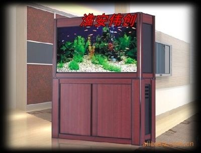 魚缸定制（選擇魚缸定制需要考慮哪些因素）