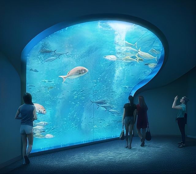 四國(guó)水族館在哪個(gè)城市